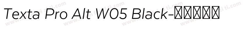 Texta Pro Alt W05 Black字体转换